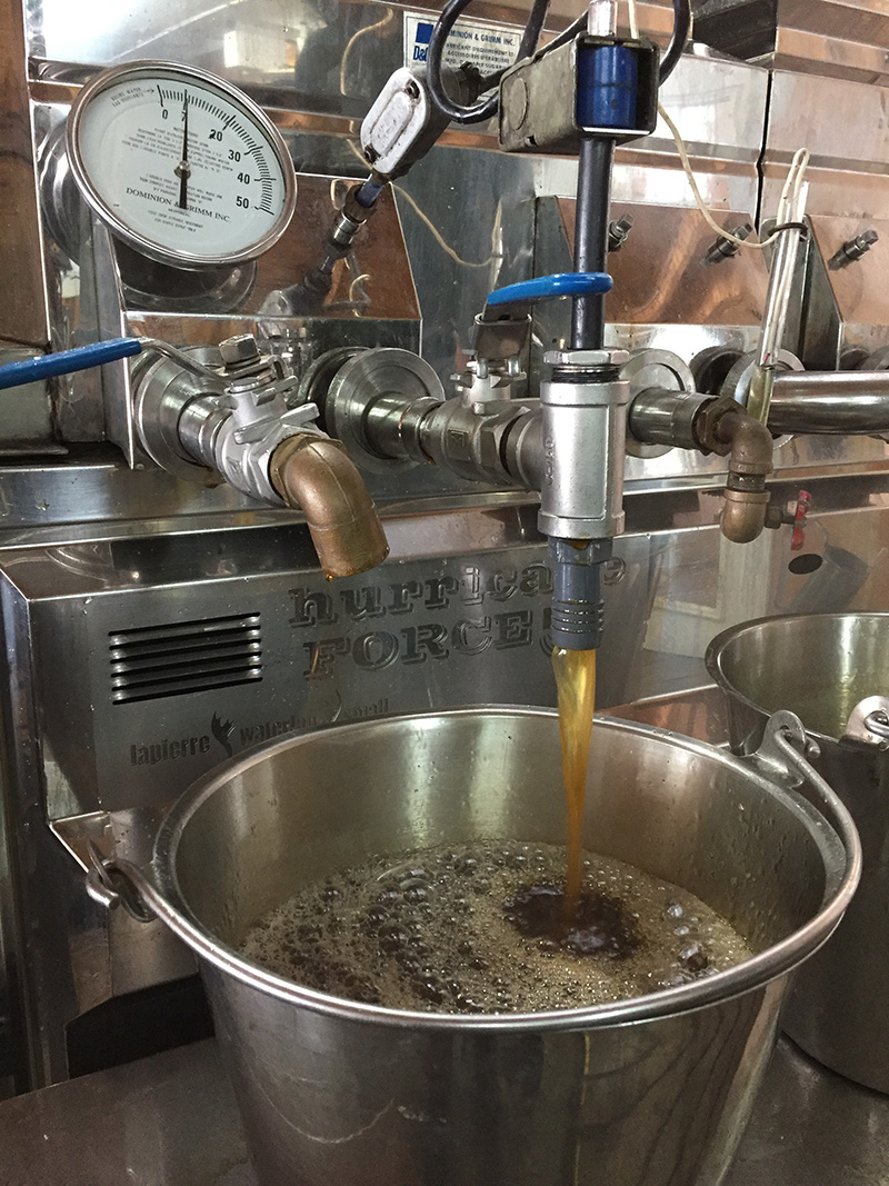 About Us Maple Research